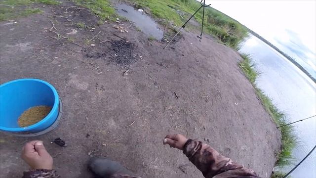 Гамаюн 08 08 2019 смотреть онлайн