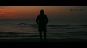 Доверие | Автор стихотворения: Арина Забавина