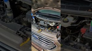 В процессе работы с Ford Tourneo Custom 2.2 125лс полное удаление сажевого фильтра и клапана EGR.