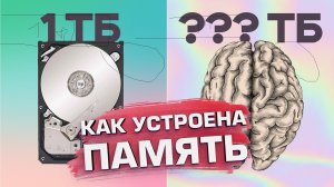 Почему НЕЛЬЗЯ улучшить ПАМЯТЬ человека / Как мозг запоминает информацию