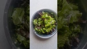 Рецепт из листьев салата