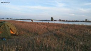 ВОБЛА 2021. АСТРАХАНЬ. СИЗЫЙ БУГОР.  БЕЗ БОНУСА НЕ ОБОШЛОСЬ.