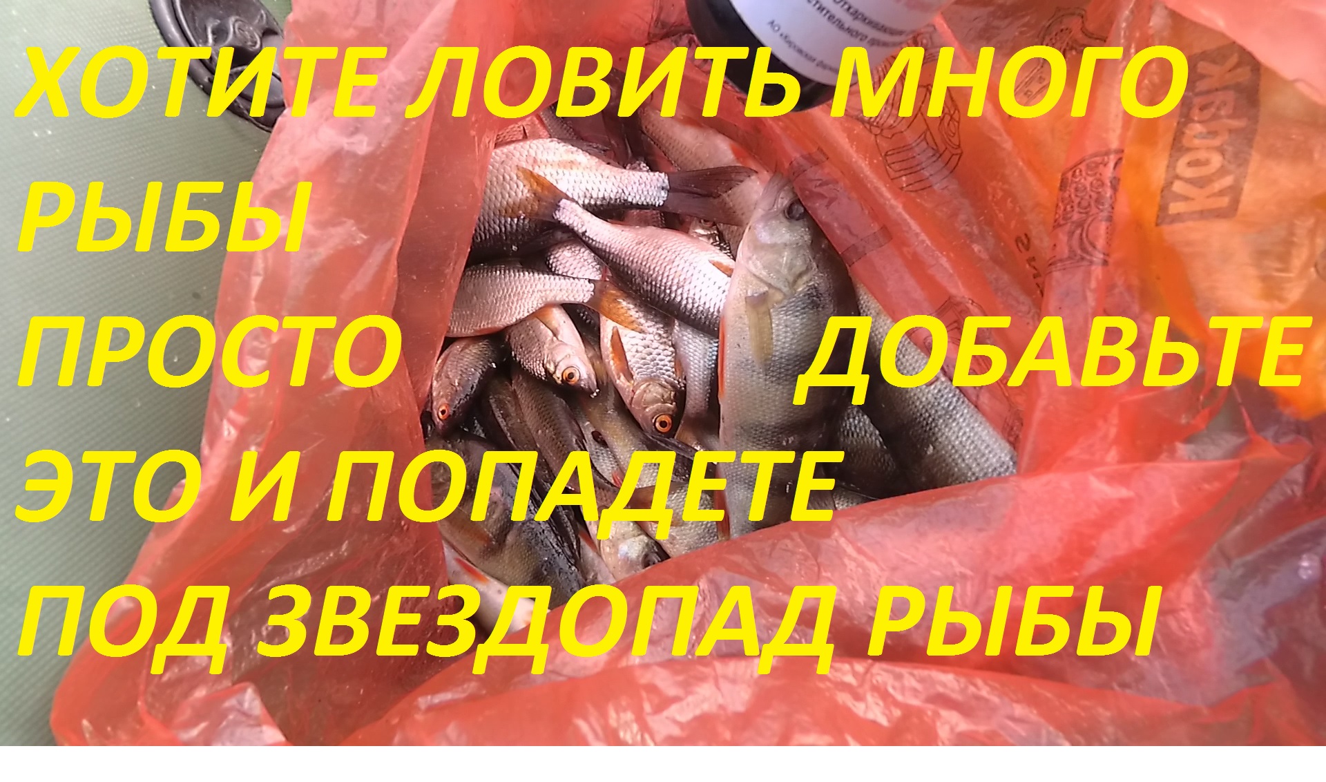 ДОБАВИЛ СОЛОДКУ В ПРИКОРМКУ И ПОЙМАЛ МЕШОК РЫБЫ, РЫБА КЛЕВАЛА КАК ОДУРЕВШАЯ, БЕЗ ОСТАНОВКИ.