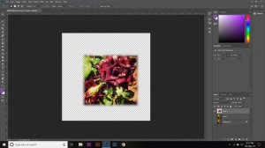 Rectangular Marquee Tool | Photoshop CC Training Part 4