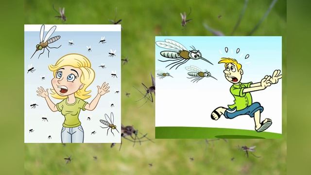 Лилия Гаврилова, воспитатель Школы № 2083. Комары смотреть онлайн