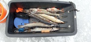 Жор щуки в феврале. Приятный ТРОФЕЙ, и хороший БОНУС ждал нас в конце!