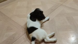 VID_20231209_230242.mp4