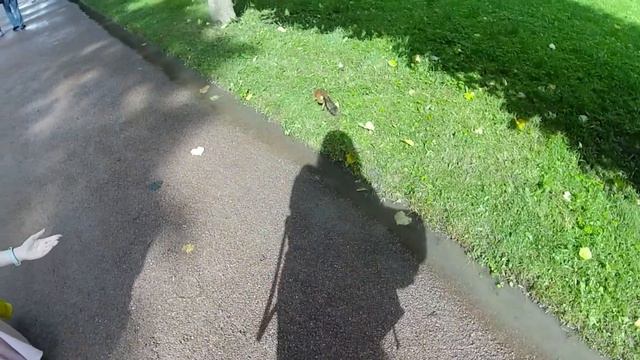 133 часа в Санкт-Петербурге (2020) | 133 hours in St.Petersburg | Part 2 | vasilianaa смотреть онлайн