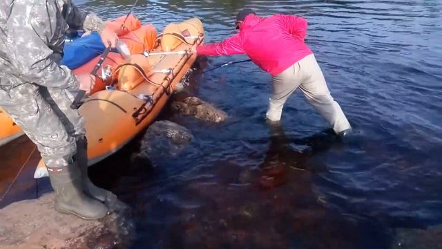 Ловля горбуши. смотреть онлайн