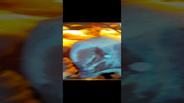 домашнее сало #shorts