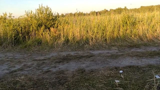Озеро Кременкуль.
