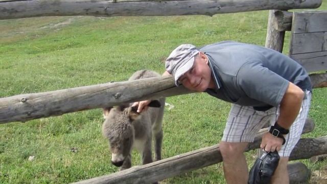 сафари парк смотреть онлайн