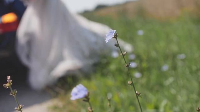 Елена & Александр смотреть онлайн