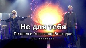 "Не для тебя" Пелагея и Александр Волкодав - Екатеринбург 15.04.22