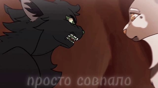 Остролистая:«Знак Бесконечность»//Коты Воители смотреть онлайн