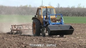 МТЗ-80 с КУНом работает с прицепным культиватором. Весенняя культивация