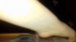 Обложка для тетради из пищевой плёнки.