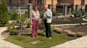 gazony.com — Самые распространенные болезни газона