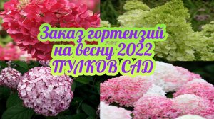 Заказ гортензий на весну 2022 в ПУЛКОВ САД. Названия сортов!