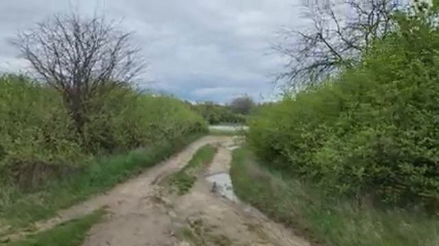 Пешком вдоль Кубани в Тлюстенхабле. Адыгея.