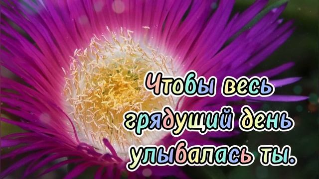 С Добрым Утром и Хорошим днём, Музыкальная Открытка, Пожелание Доброго Утра