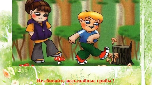 Видео - урок. Тема_ _Правила поведения в лесу_ смотреть онлайн