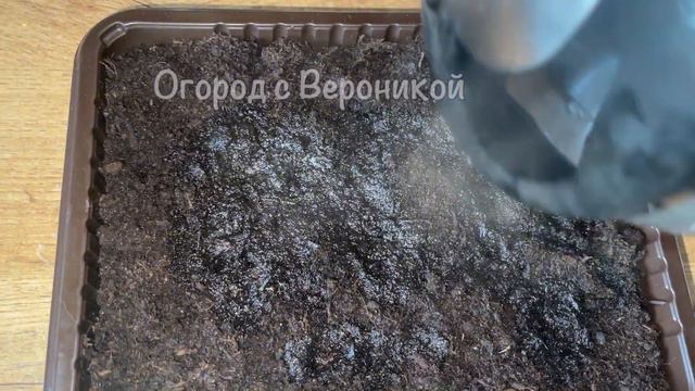 Посадите сладкий перец в феврале на рассаду этим способом для крепкой рассады и большого урожая! смотреть онлайн