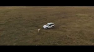 Реклама шевроле нива