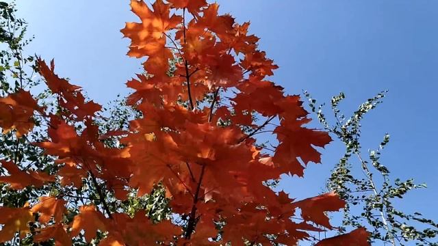 7 октября-праздник ДЕНЬ ФЁКЛЫ. Что нельзя делать.Народные приметы