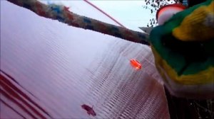 Авто навес из сотового поликарбоната своими руками