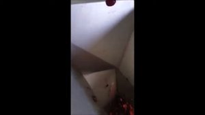 Итальянская протирочная машина для вишни, сливы, абрикоса и других фруктов до 1200 кг час