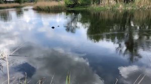 Гайдары