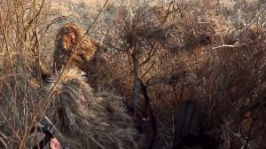 Охота на гусей в Беларусии