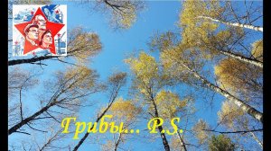 Грибы. P.S. 16.10.2015. Тихая охота. Грибалка. Осенний лес.