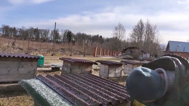 Весеннее сокращение гнезда, якобы по Блинову