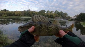 Джиг риг  или отводной поводок. Кто кого?