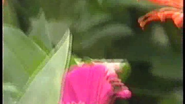 4- Дача ПТО смотреть онлайн