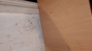 как заклеить манжет стиральной машины