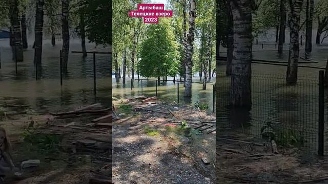 Разлив Телецкого озера Артыбаш Вода везде!