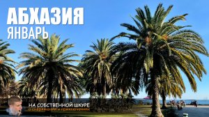 Абхазия. Море и пальмы. Зима ))