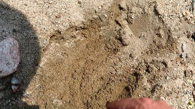 Как братья американцы золото добывают? смотреть онлайн