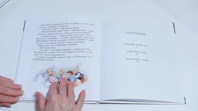 Б. Патерсон, С. Патерсон: Чудеса в зимнем лесу / Большое летнее приключение