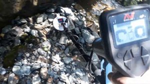 Minelab Gold monster 1000