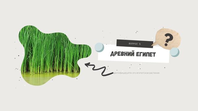 Групповая викторина по история: ОТКРЫТЫЙ УРОК /ИСТОРИЯ /ДРЕВНИЙ ЕГИПЕТ смотреть онлайн