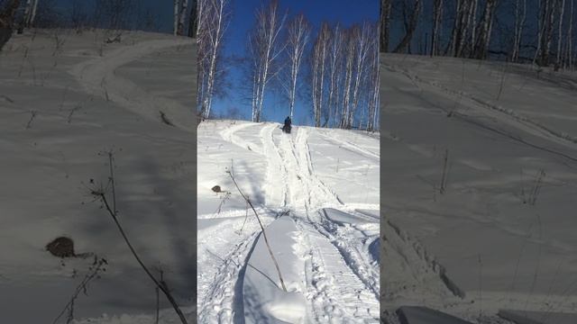 Тайга лидер 500 в гору смотреть онлайн