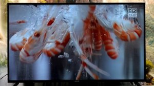 Телевизор Harper 55U750TS: экран 55” на матрице IPS, разрешение 4К и Android TV