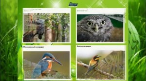 Красная книга Ульяновской области