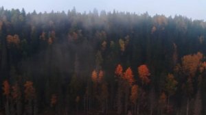 Красивое видео природы с релакс музыкой | Природа, релакс | Осенний 4К пейзаж | Полет через облака!