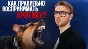 Критика как правильно воспринимать. Хейт в соцсетях