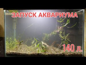 ЗАПУСК АКВАРИУМА НА 140 ЛИТРОВ